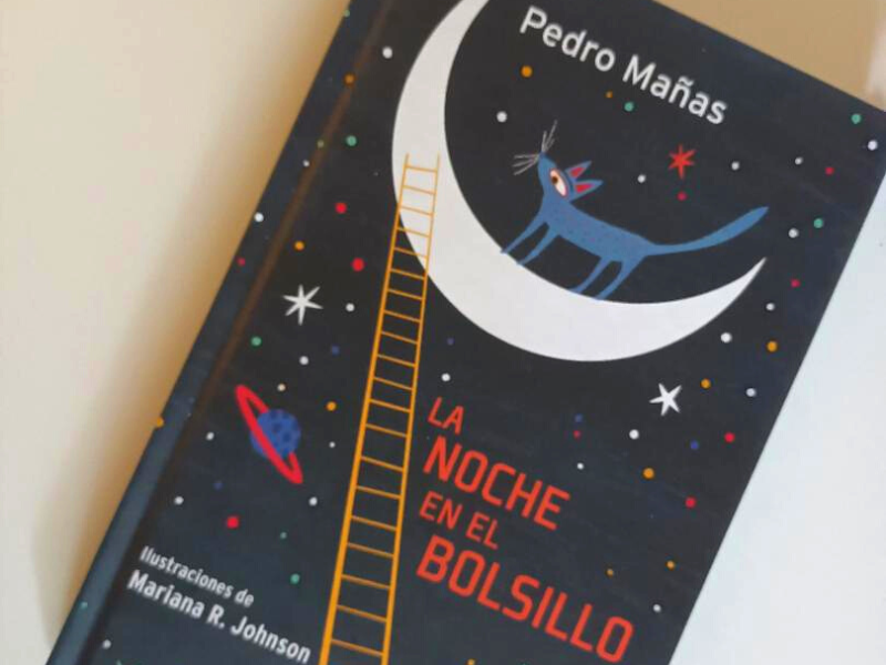 La noche en el bolsillo. Libro de poemas para niños