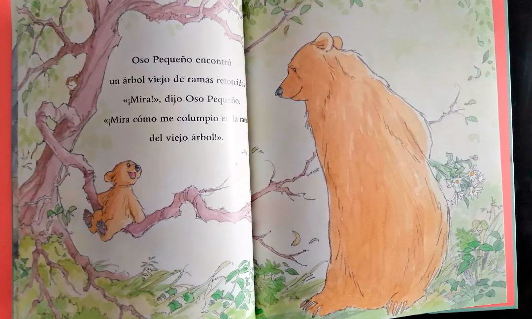 Libro Muy bien osito