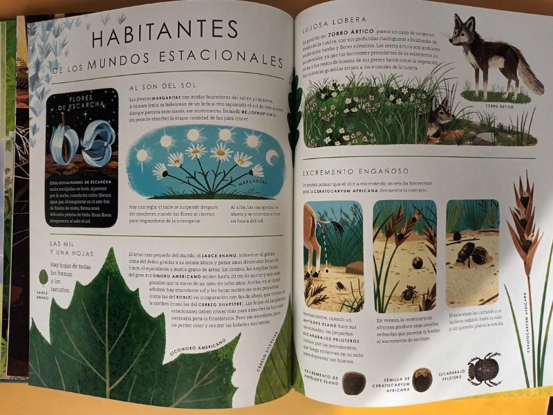 Planeta Verde. Un libro para niños