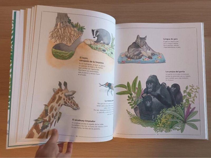 Vivir, libro sobre los animales para niños