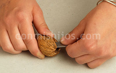 Manualidades. Animales con nueces. Paso 1