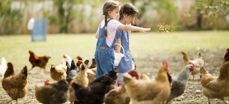 varonil Kosciuszko escapar Por qué a los niños les gustan los animales?