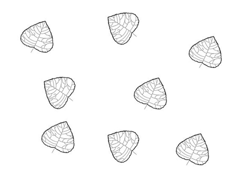Hoja de tilo para colorear