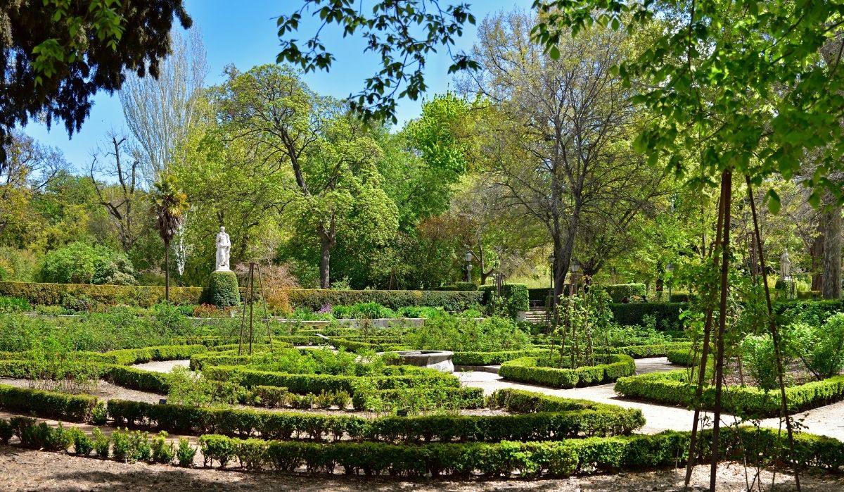 Jardín botánico de madrid