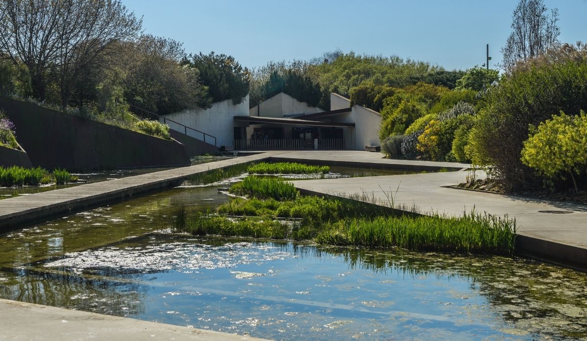 jardín botánico de barcelona