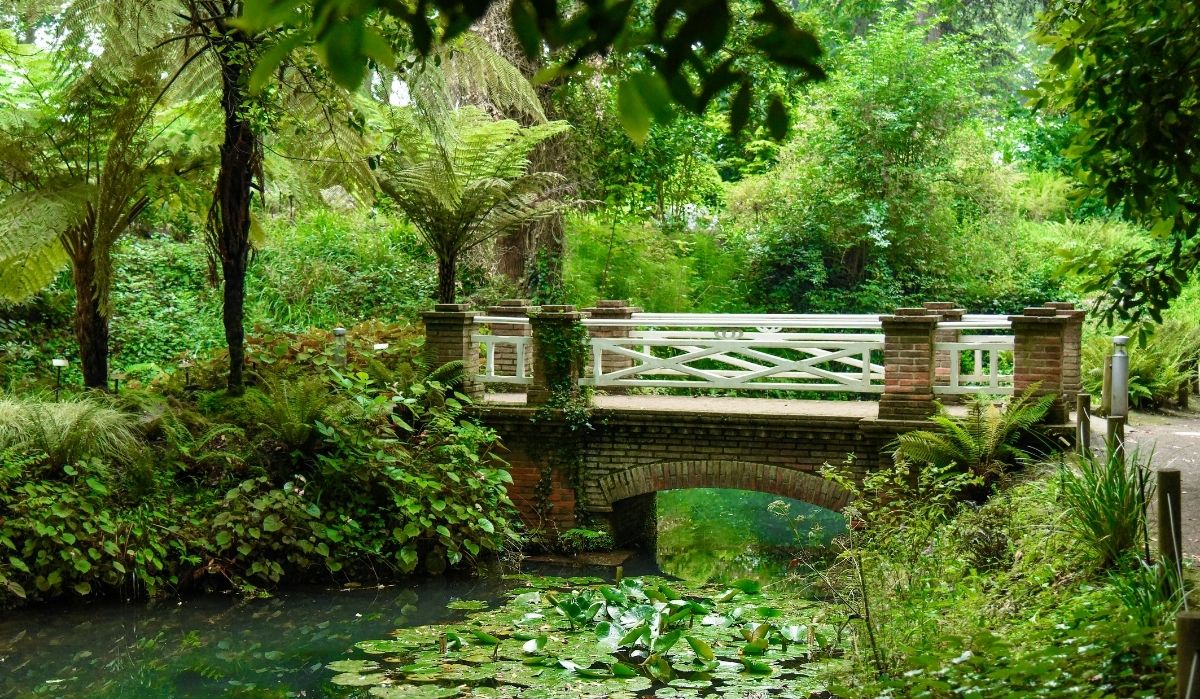 jardín botánico de gijón