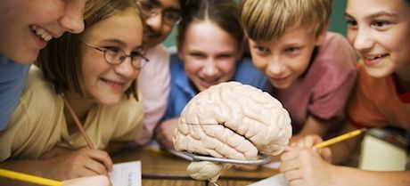 Cambios en el cerebro de los niños