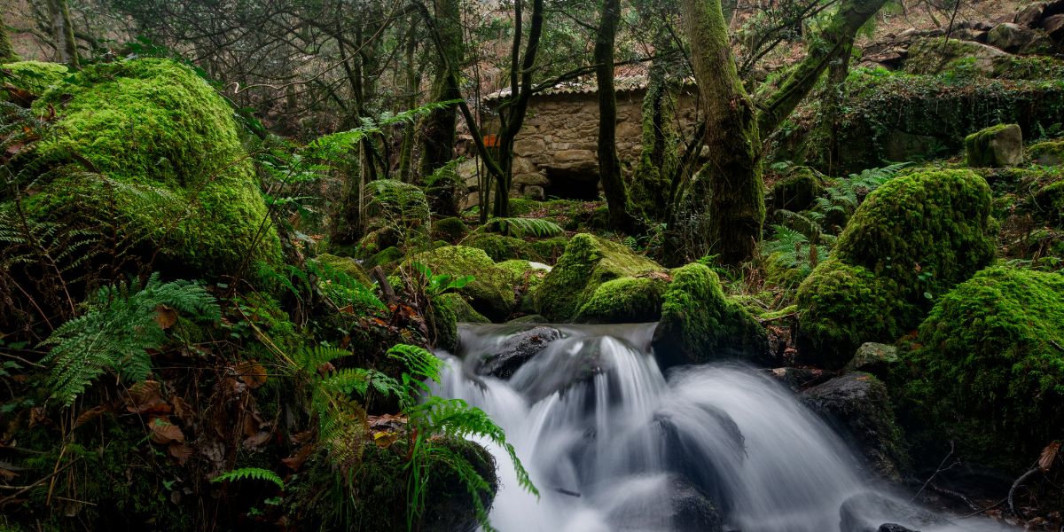 Ruta da Pedra e da Auga