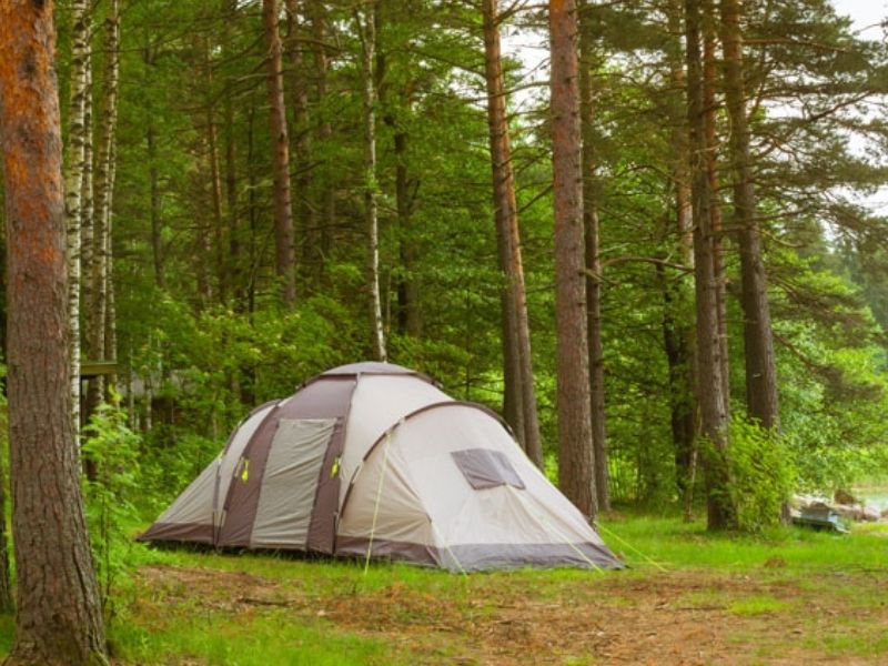 acampada en medio del bosque