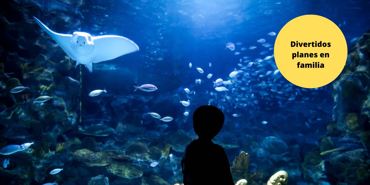 Acuario de Gijón con los niños