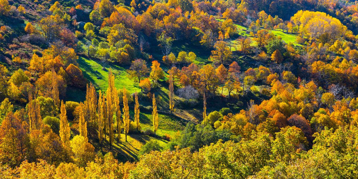 valle de ambroz