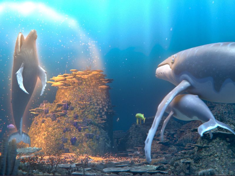 la ballena cantora