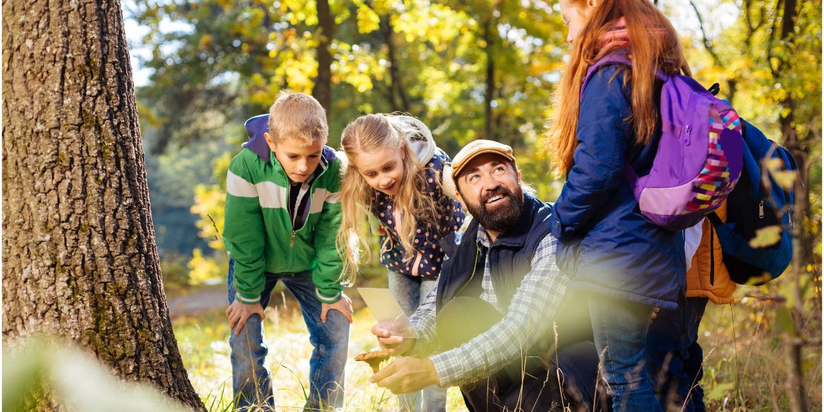 los mejores sitios para buscar setas con niños