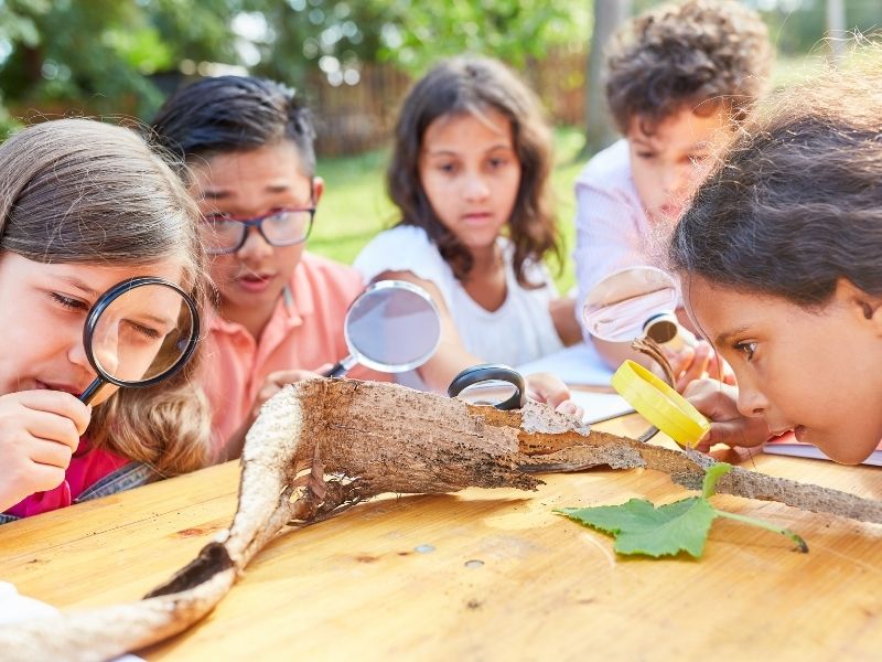 Beneficios de los campamentos de verano para niños