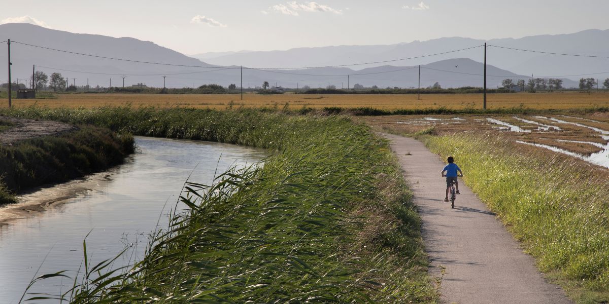 delta del ebro con niños