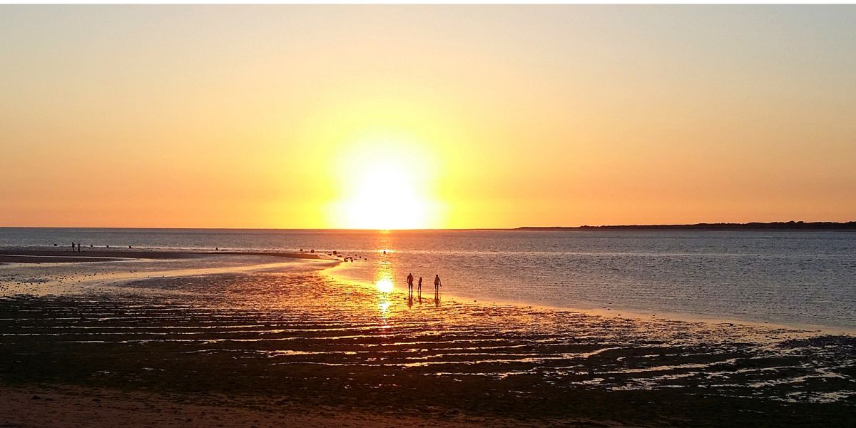 doñana con niños