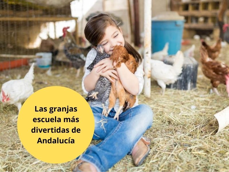 las granjas escuela más divertidas de Andalucía 