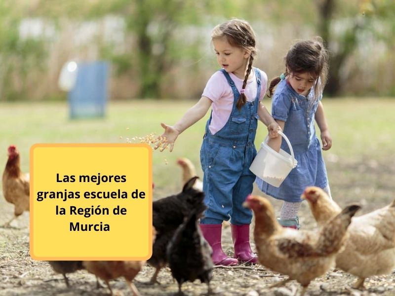 las mejores granjas escuela de la región de murcia