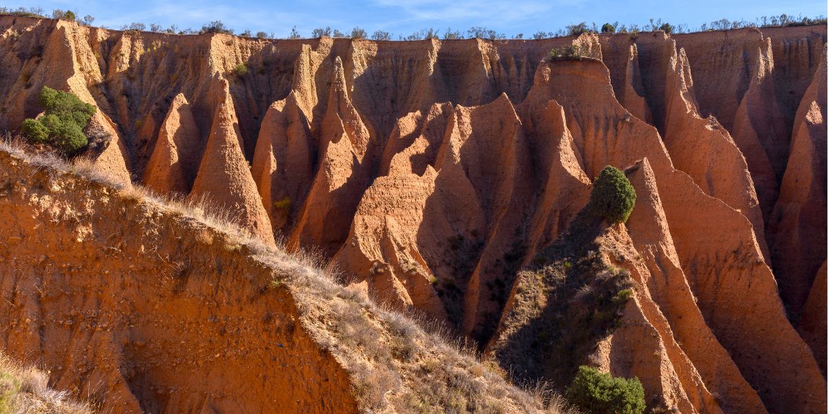 las cárcavas del pontón de la oliva