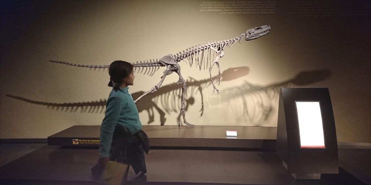 museo de los dinosaurios con niños museo de los dinosaurios con niños