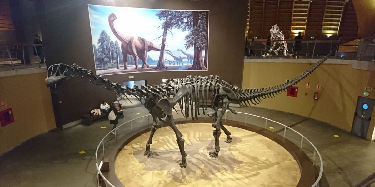 museo de los dinosaurios con niños museo de los dinosaurios con niños