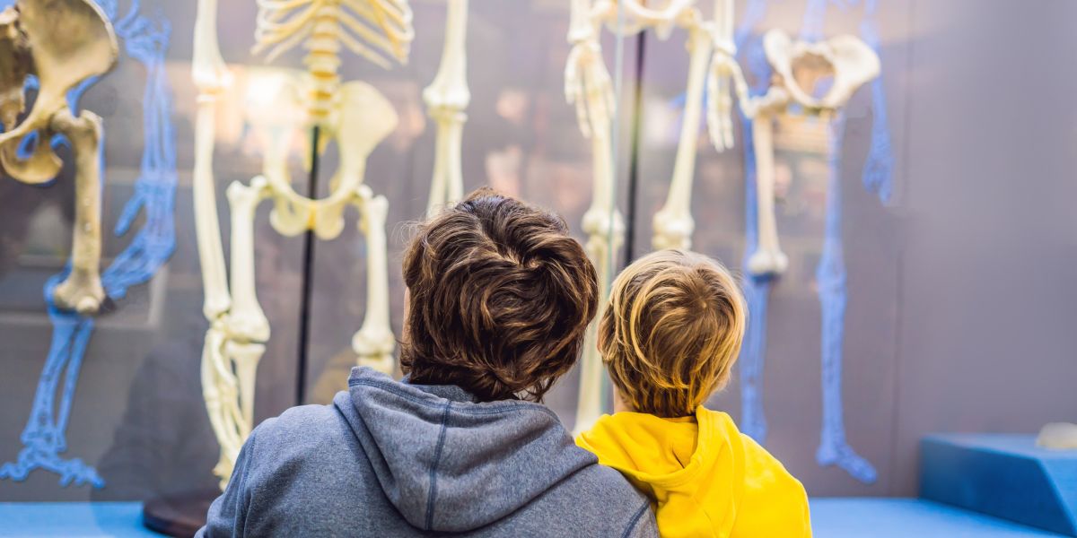 Museo de la evolución humana