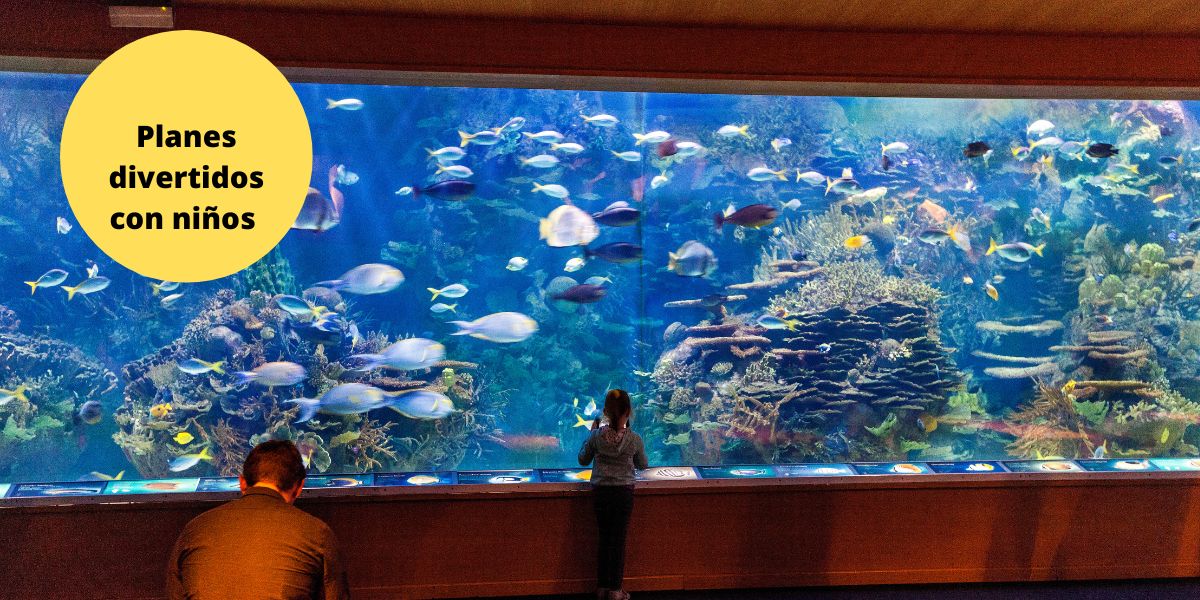 Guía completa para visitar el Oceanogràfic con niños