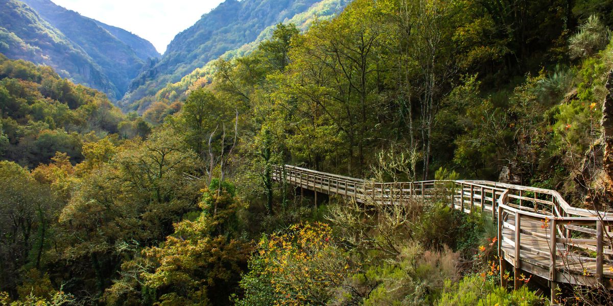 pasarelas del río Mao, en Orense pasarelas del río Mao, en Orense