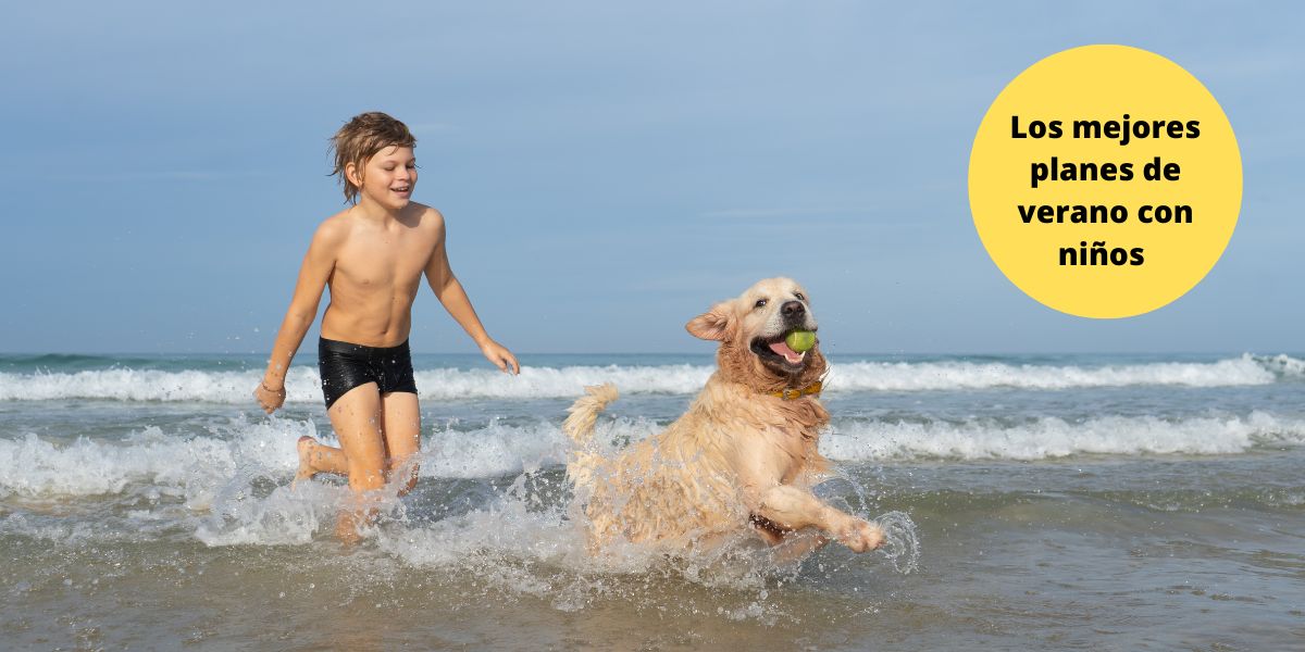 Playas de perros y niños en España