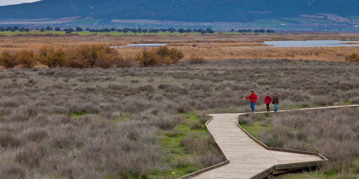 visita a las tablas de daimiel
