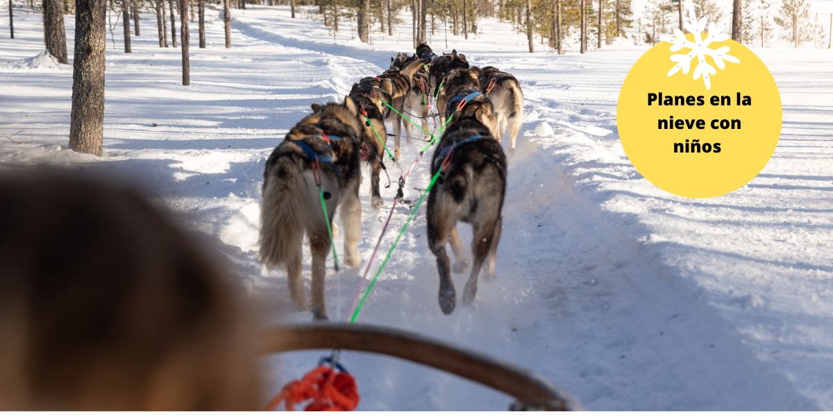 Paseo en trineo de perros con niños Paseo en trineo de perros con niños