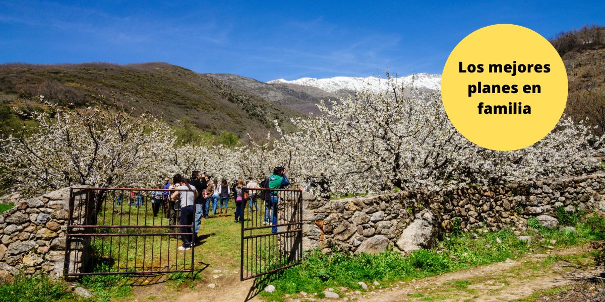 Plan en el Valle del Jerte con niños