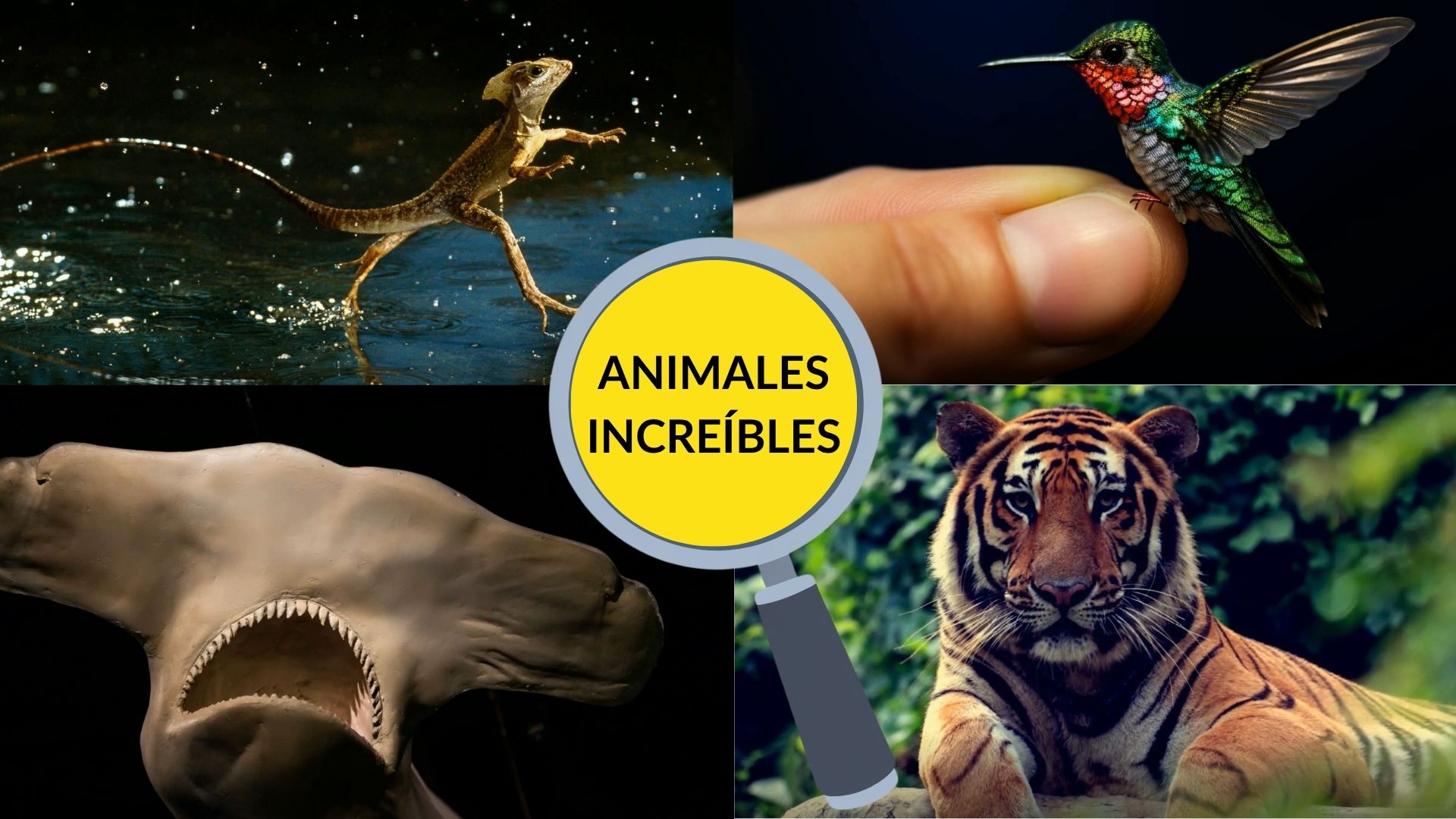 animales increíbles para niños