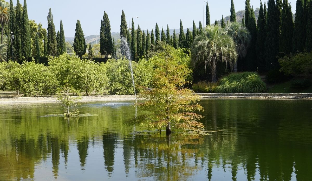 Jardines y parques botánicos en España