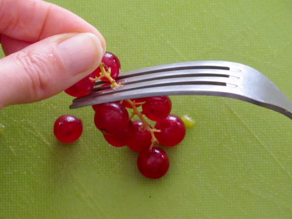 Receta infantil de ensalada de frutas de primavera paso 14