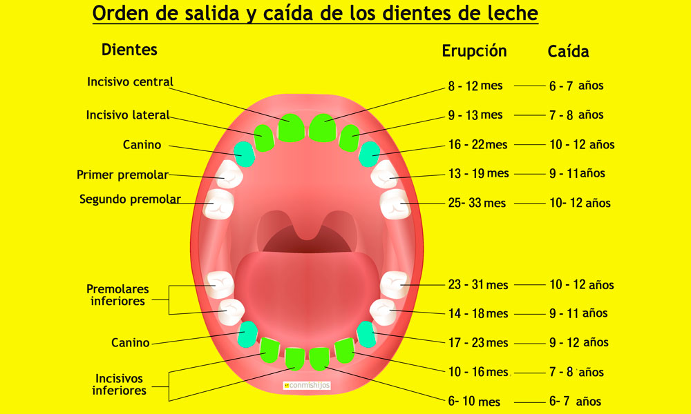 Que significa soñar q se te caen los dientes