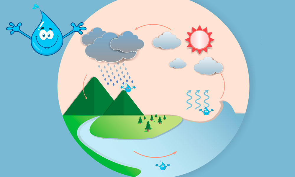 Qué es el ciclo del agua? Resumen para niños