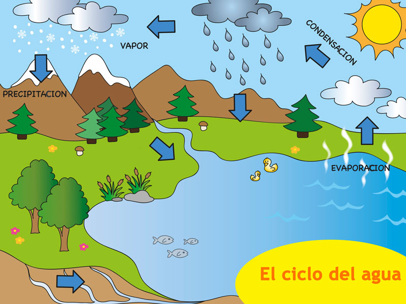 Ciclo del agua para niños