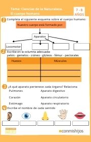 el cuerpo humano