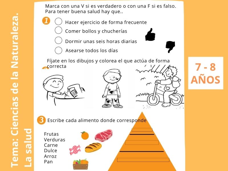 ficha de ccnn para niños de segundo de primaria, la salud