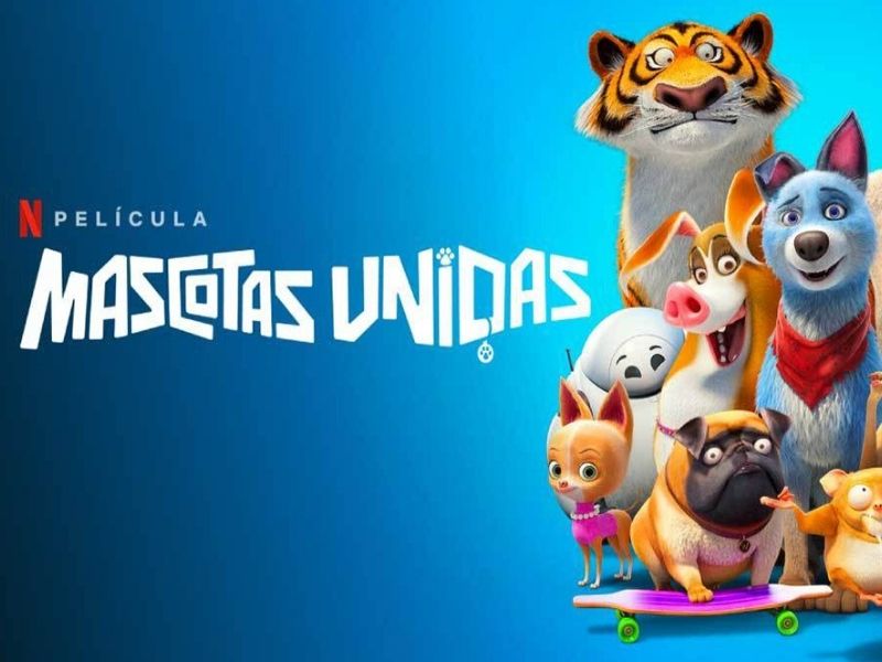 mascotas unidas