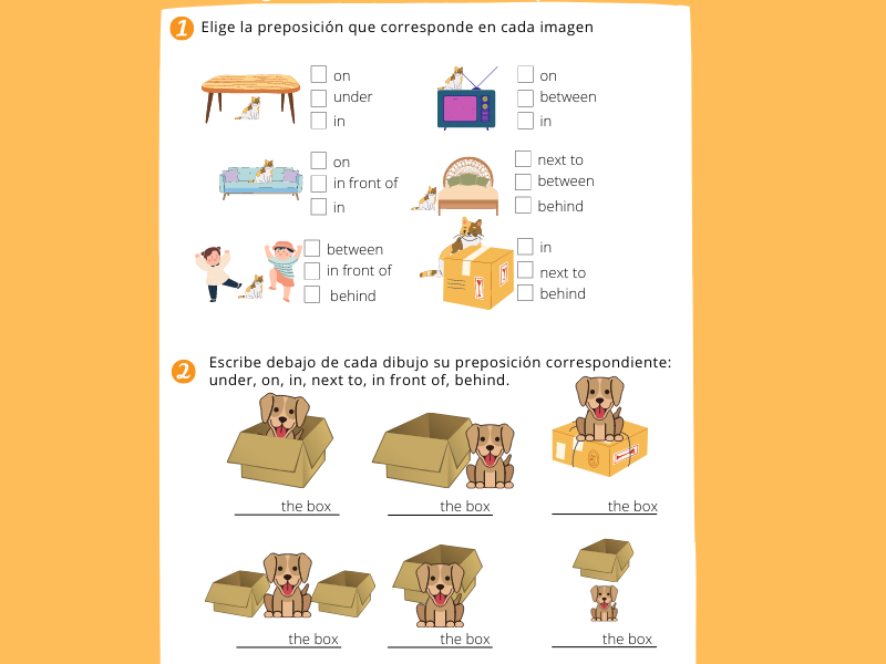 Ficha escolar: Preposiciones en inglés para niños