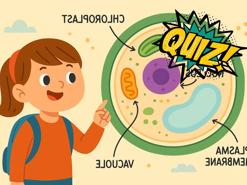 quizz para niños sobre la célula quizz para niños sobre la célula