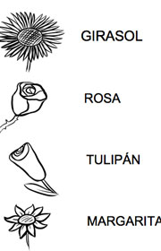 Ejercicio para aprender el nombre de las flores