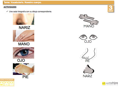 Ficha escolar sobre el cuerpo humano